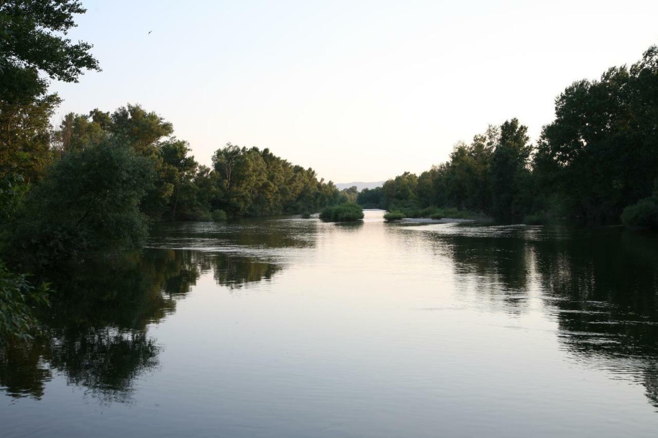 Gites Chateau De La Selve Grospierres Kültér fotó