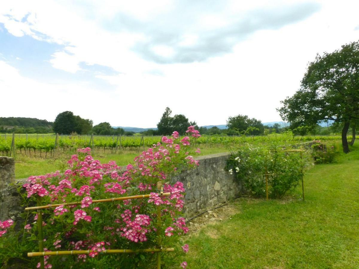 Gites Chateau De La Selve Grospierres Kültér fotó